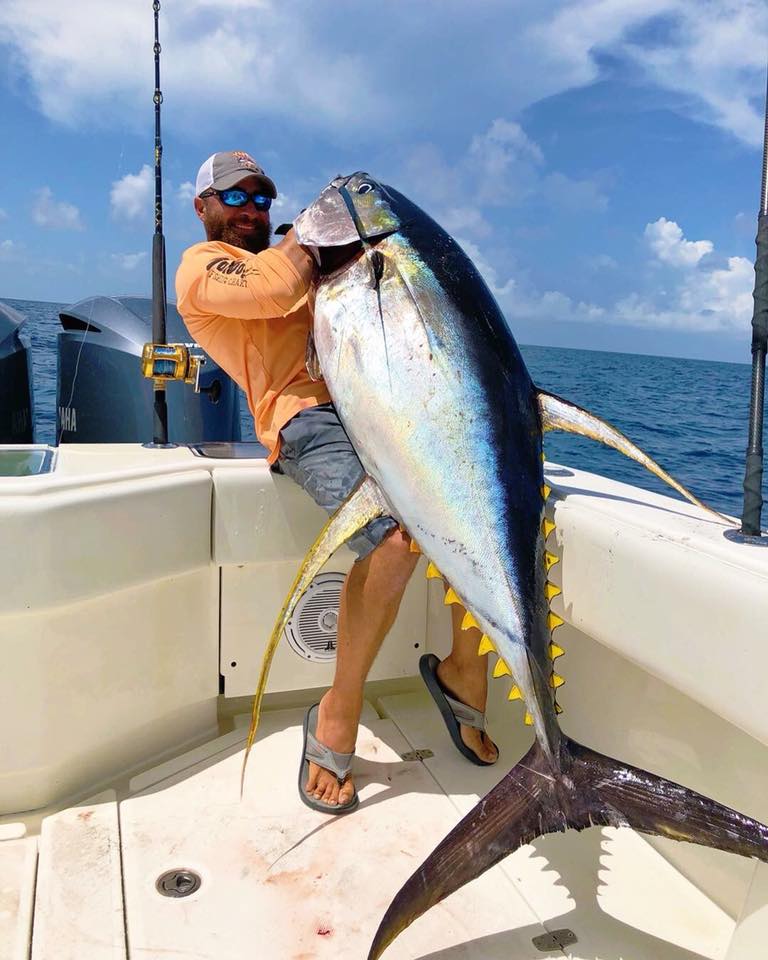 yellowfin tuna