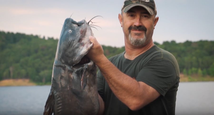 You've Never Seen Hand Fishing for Catfish Like This Before - Wide