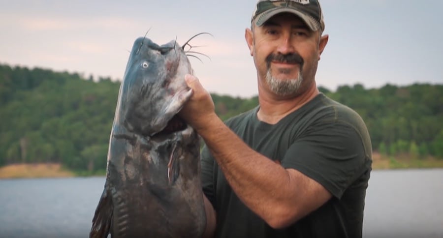 You've Never Seen Hand Fishing For Catfish Like This Before