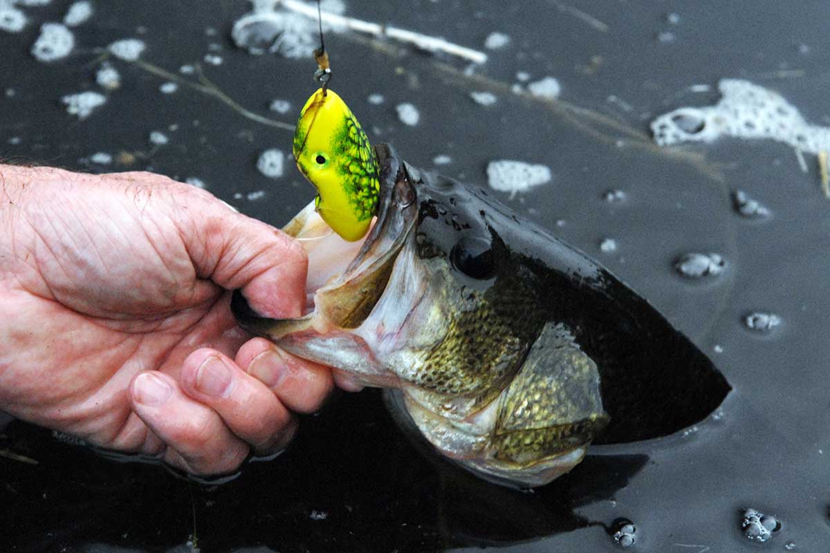 5 Best Weedless Lures for Bass Fishing in the Thick Stuff - Wide