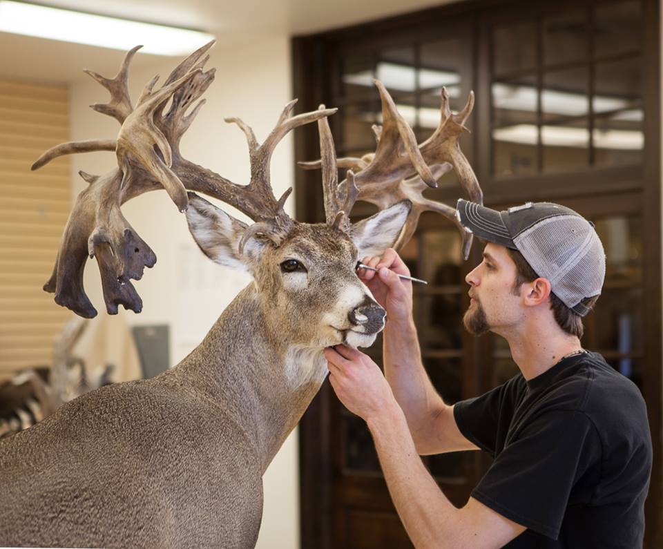 State Record Bucks