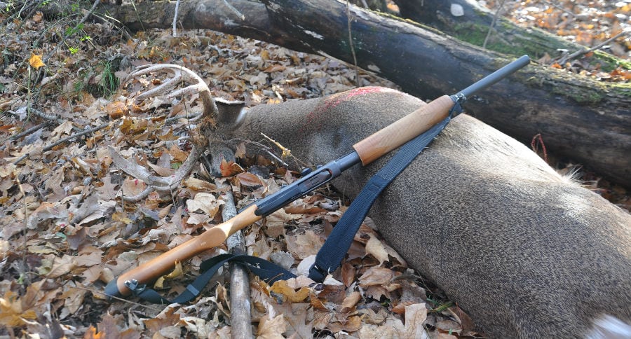 Hunting Season Anticipation