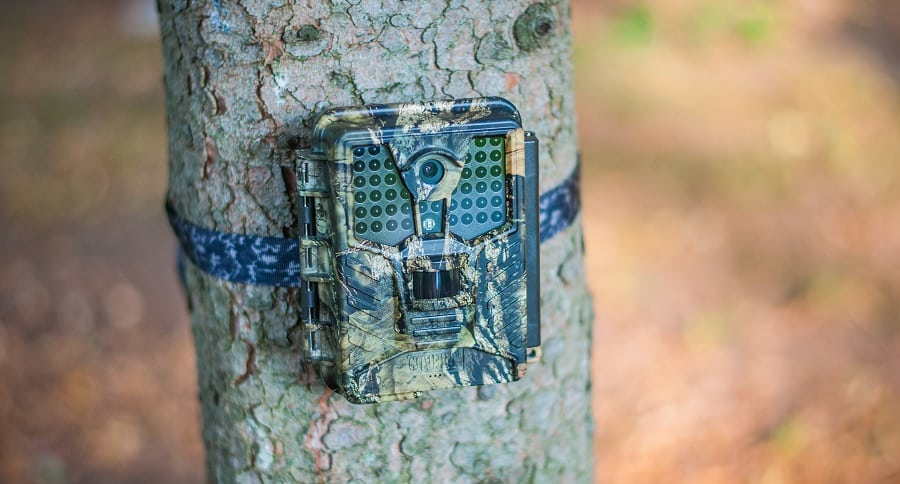 Covert Scouting Cameras Ice Cam