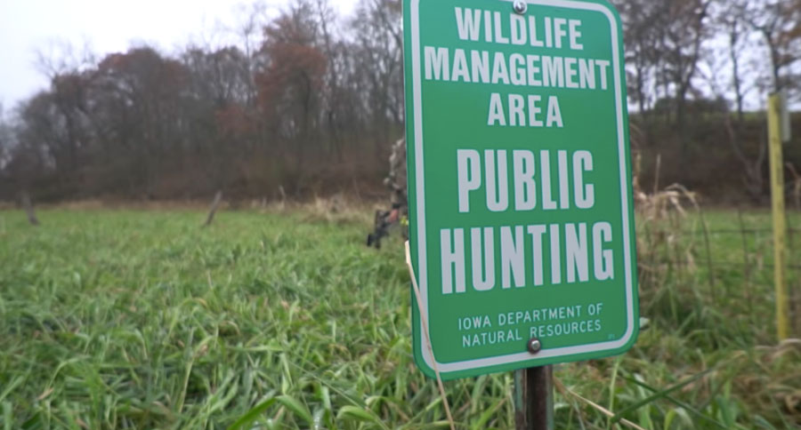public land