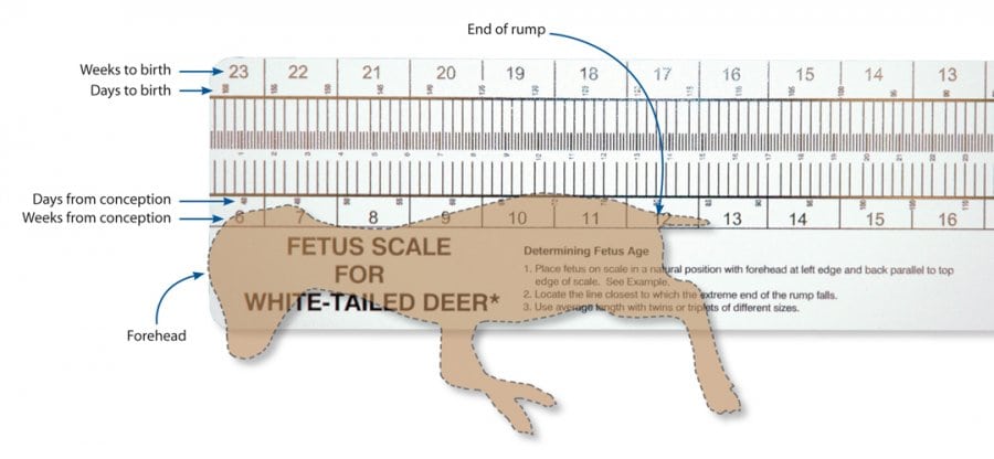 Deer Management Tools