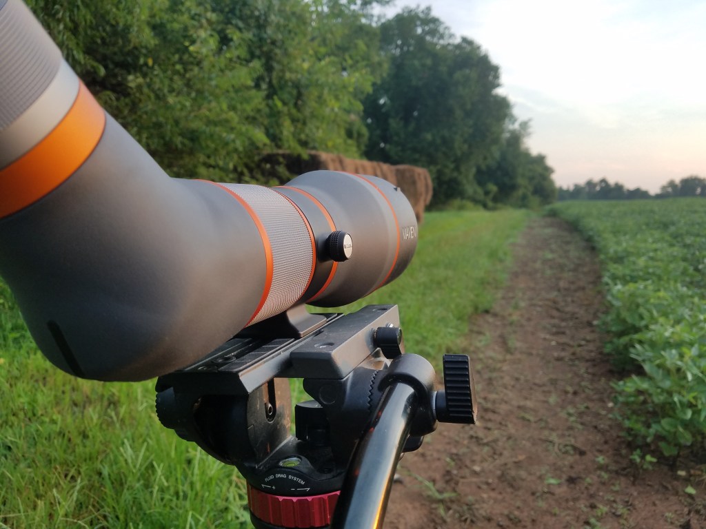 Management Tools Deer Hunting