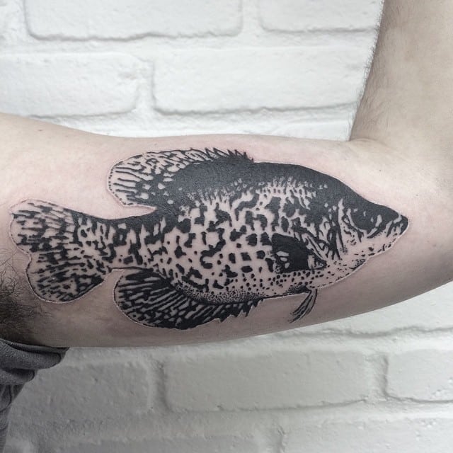 https://www.wideopenspaces.com/wp-content/uploads/sites/3/2018/09/Crappie-tat.jpg?resize=640%2C640