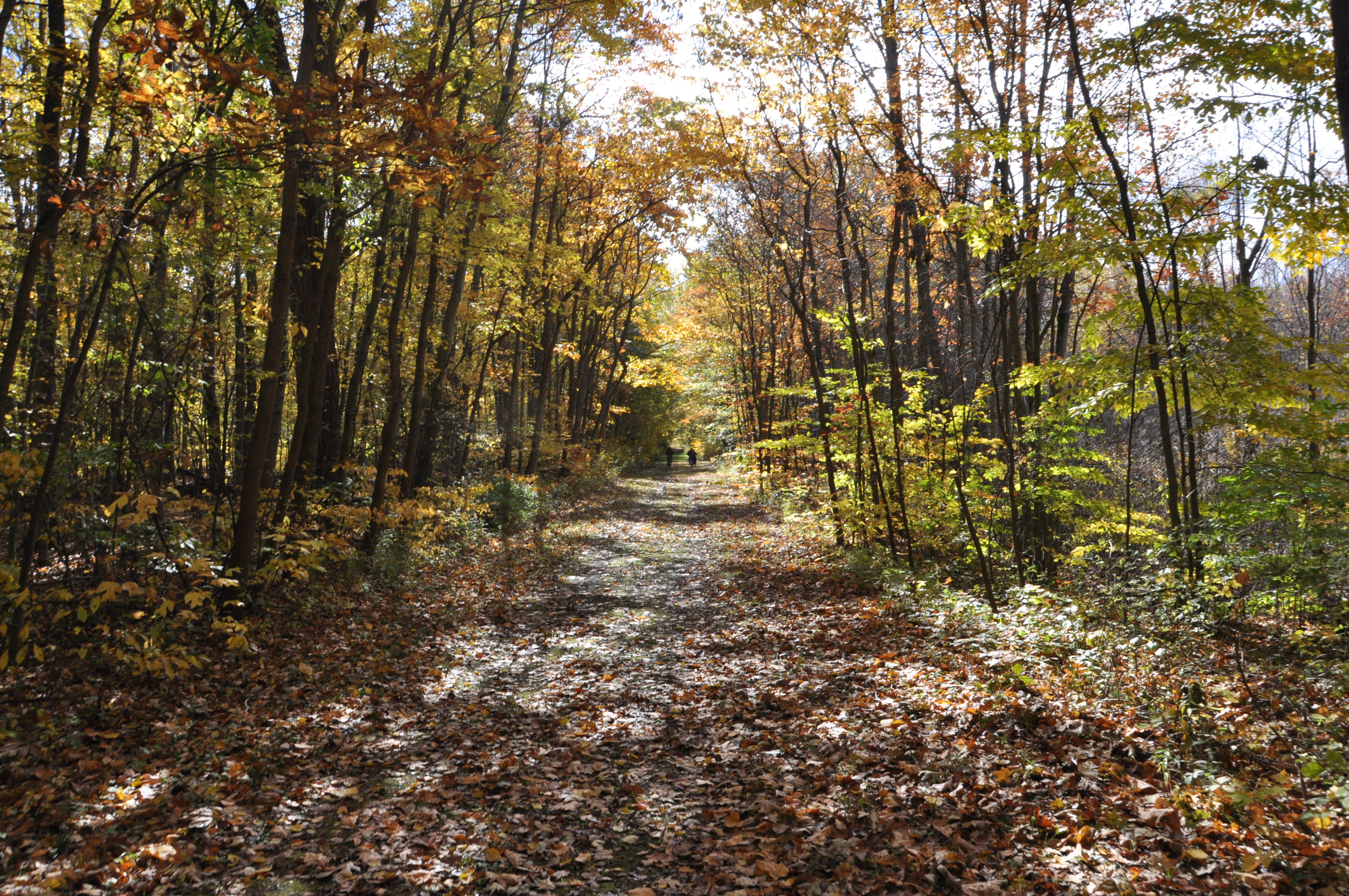 Fall and Winter Camping