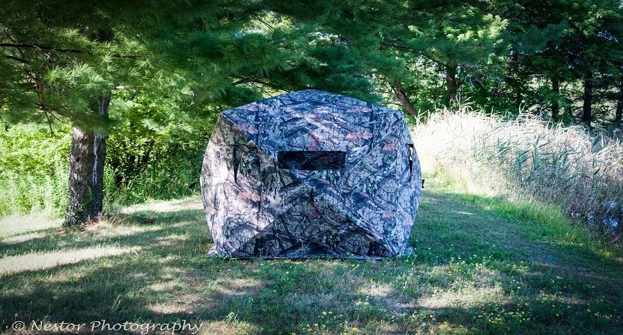 treestand vs. ground blind