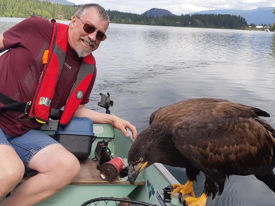 fishing eagle