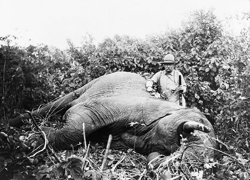 Theodore Roosevelt Hunting