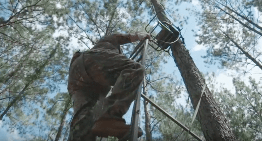 Tree Stand Safety