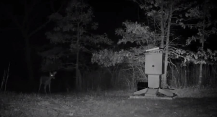 deer feeder picks