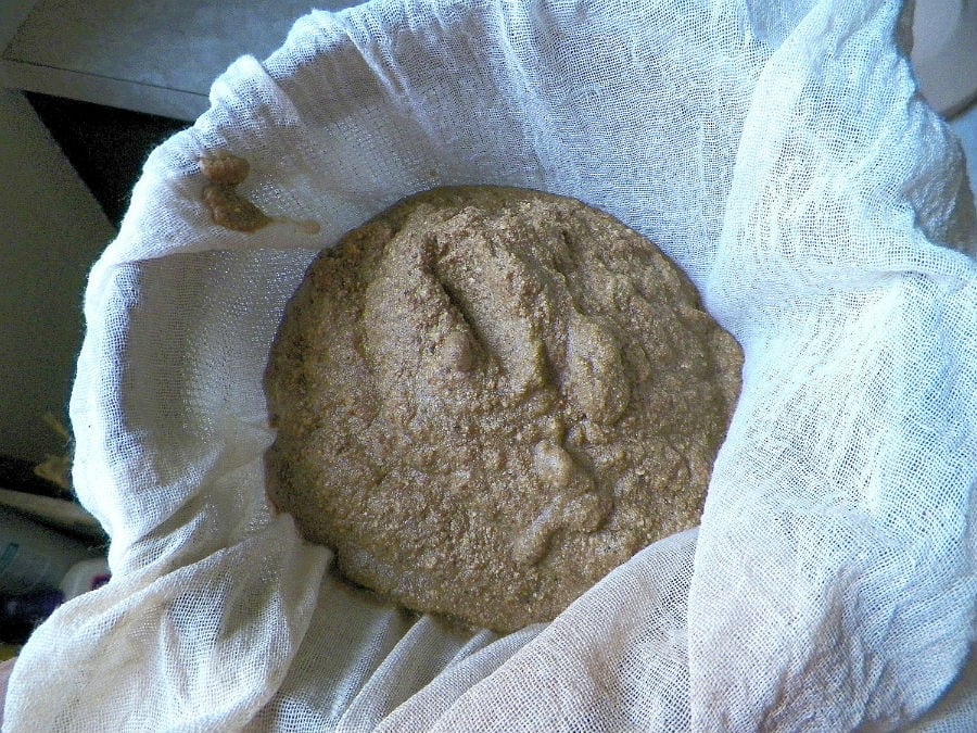 acorn flour