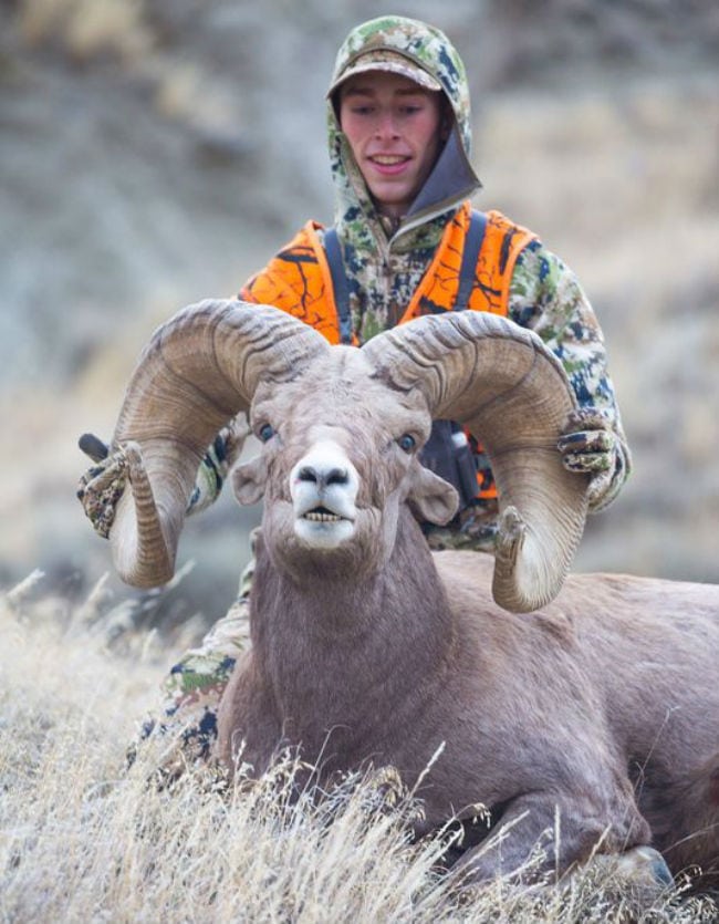 bighorn world record