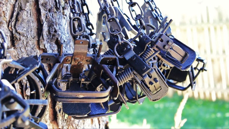 dye and wax traps