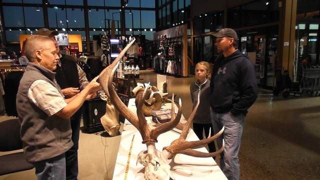 Massive Record Elk