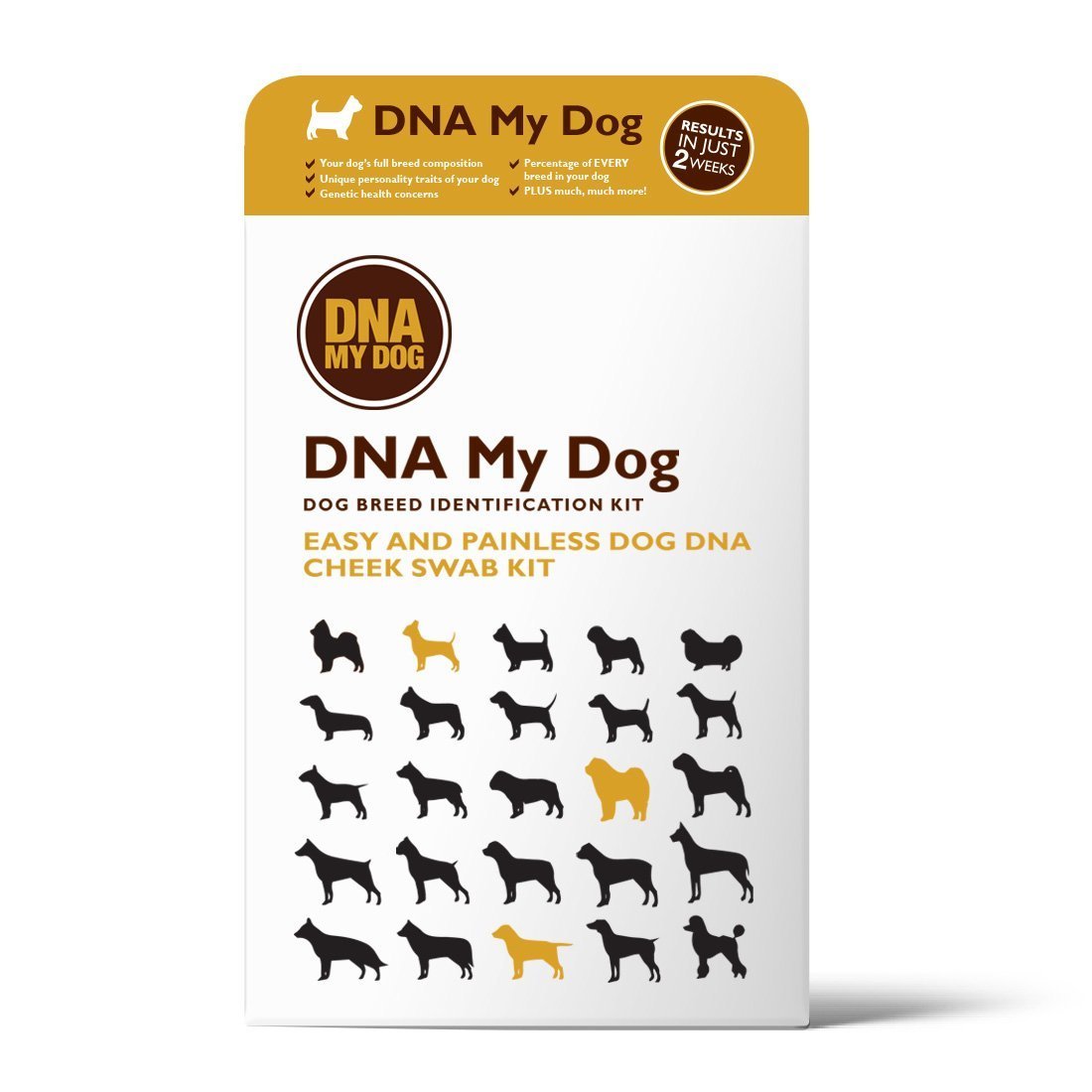 Dog DNA Test 