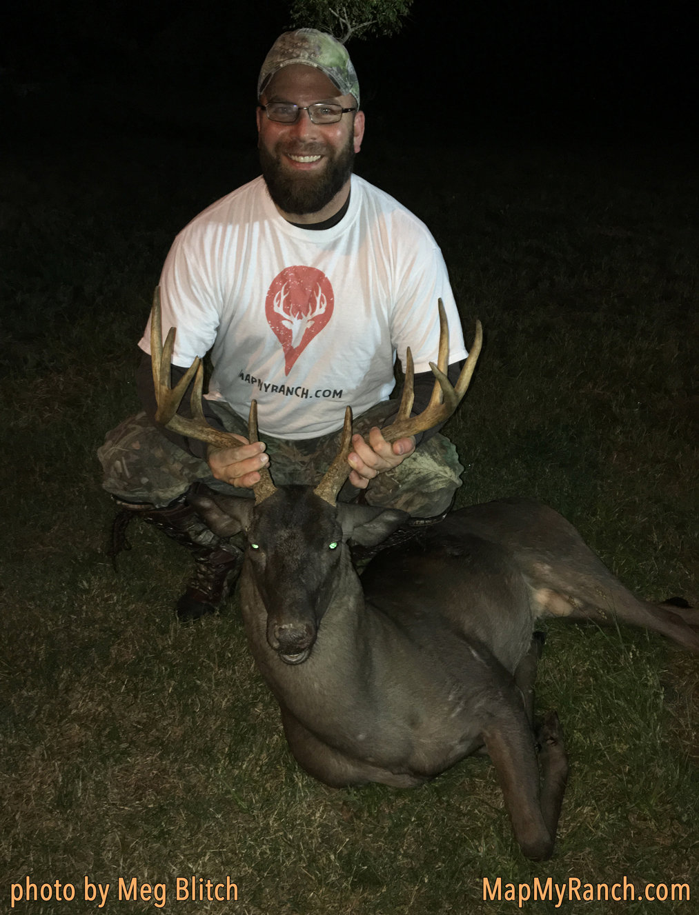 Melanistic Buck