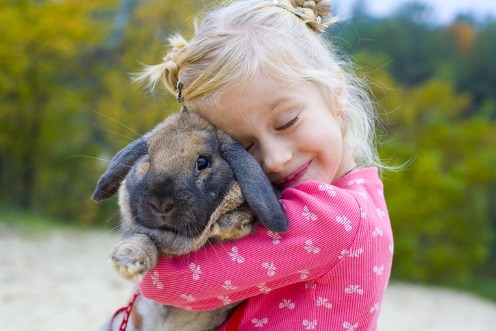 Photo of a little girl in pink clothes hugging a rabbit