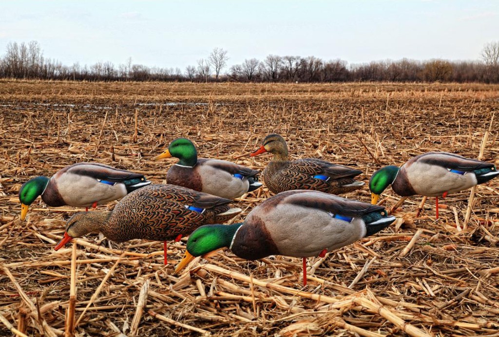Earn Your Wings With This Waterfowl Hunting Gear - Wide Open Spaces