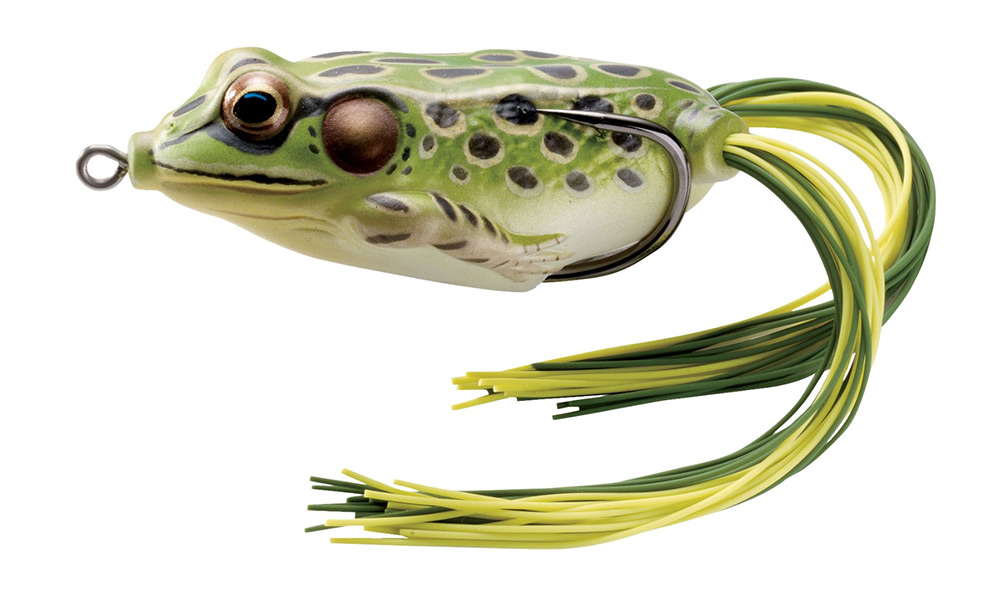 Best Bass Lures