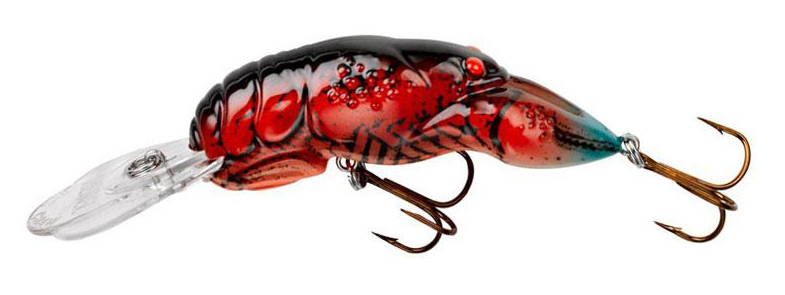 Best Bass Lures