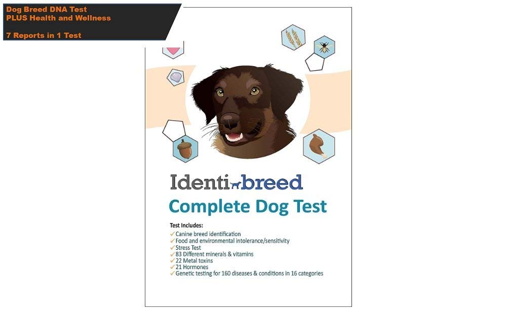 Dog DNA Test 