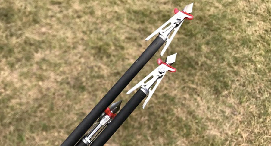 broadheads