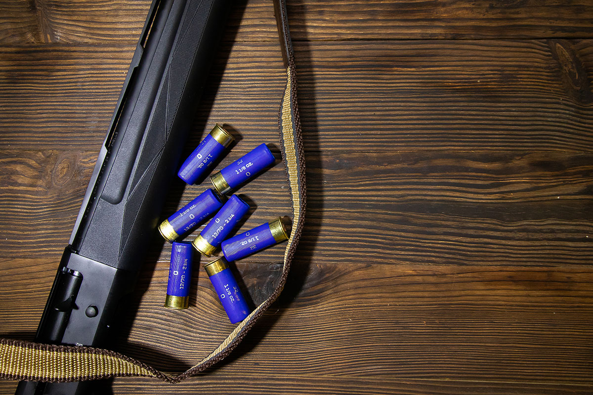 Best Shotgun Load For Home Defense