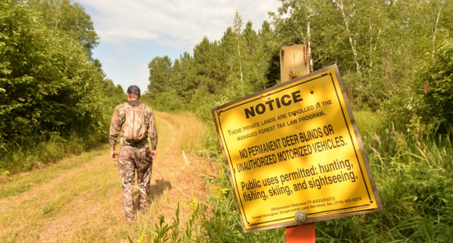 public land deer hunting