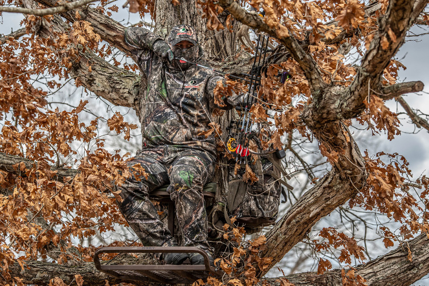 treestand safety