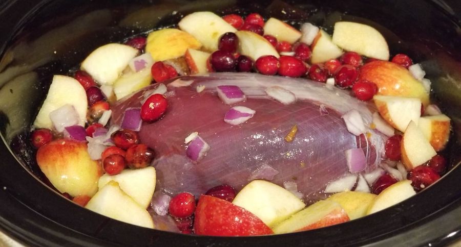Crock Pot Venison Roast