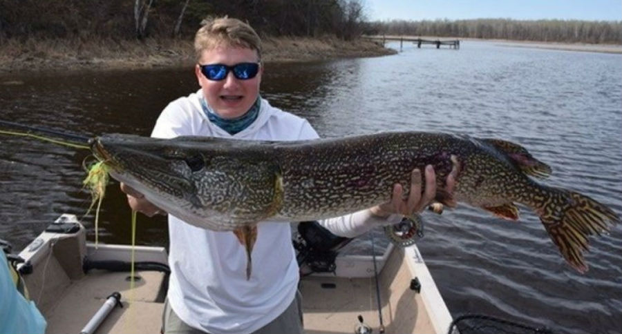 northern pike state record
