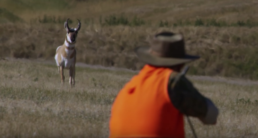 Check Out Ron Spomer's Wyoming Pronghorn Hunt