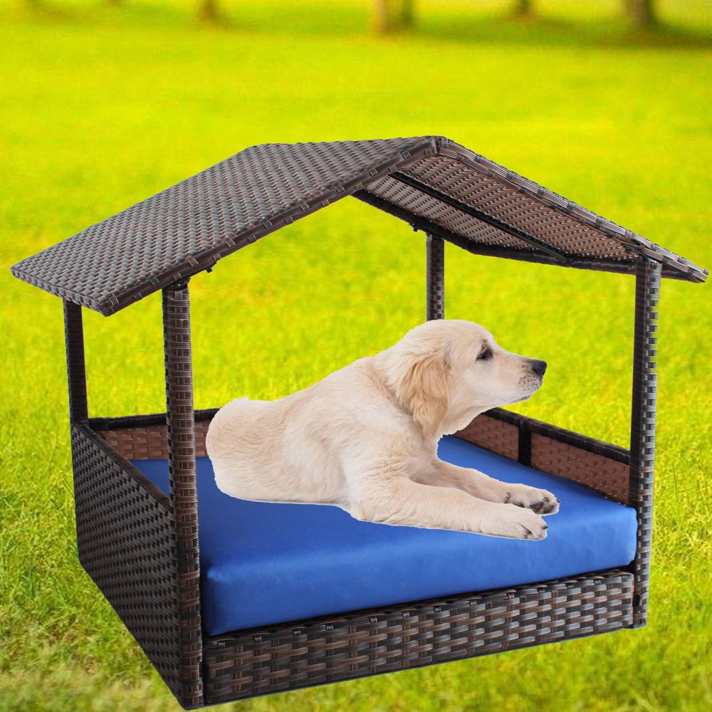 Dog House