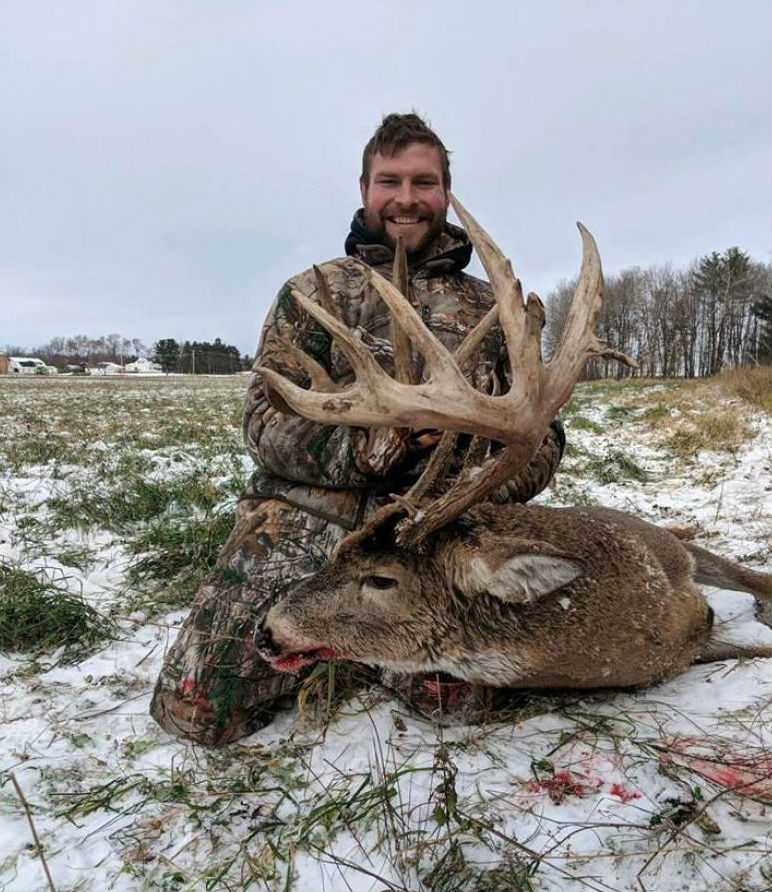 massive buck