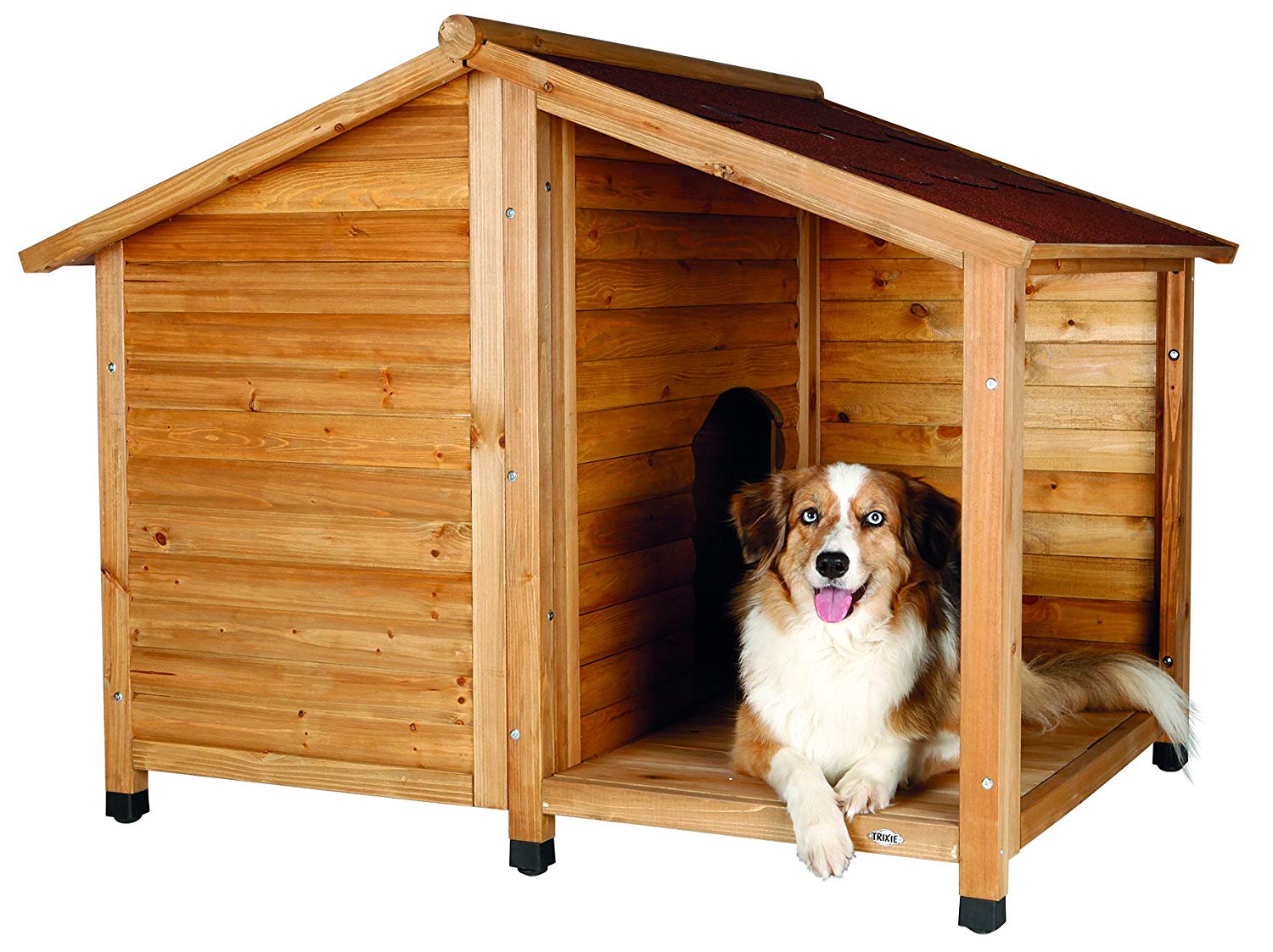 Dog House