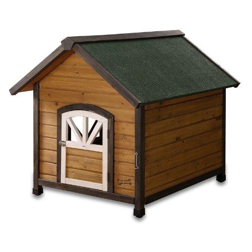 Dog House