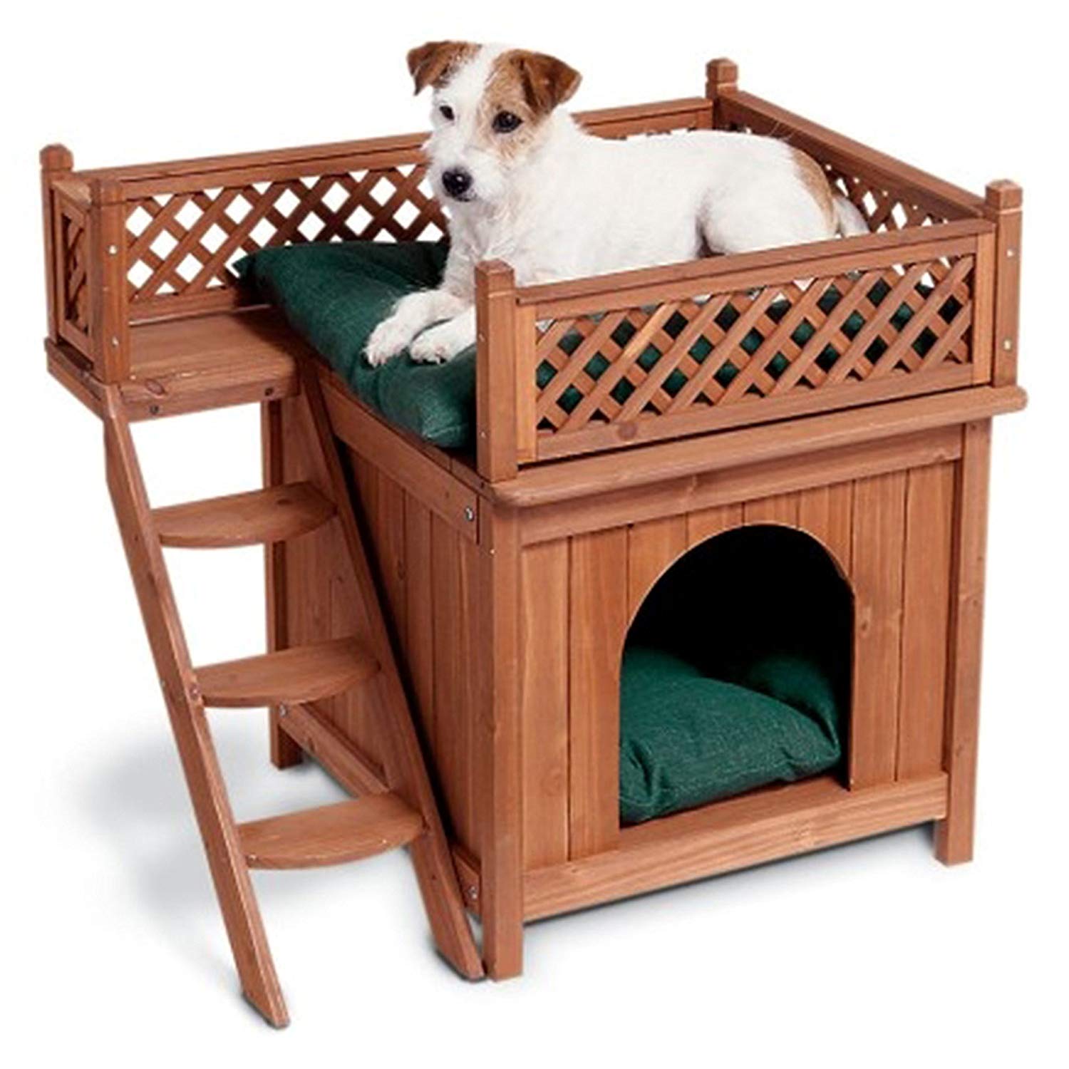 Dog House