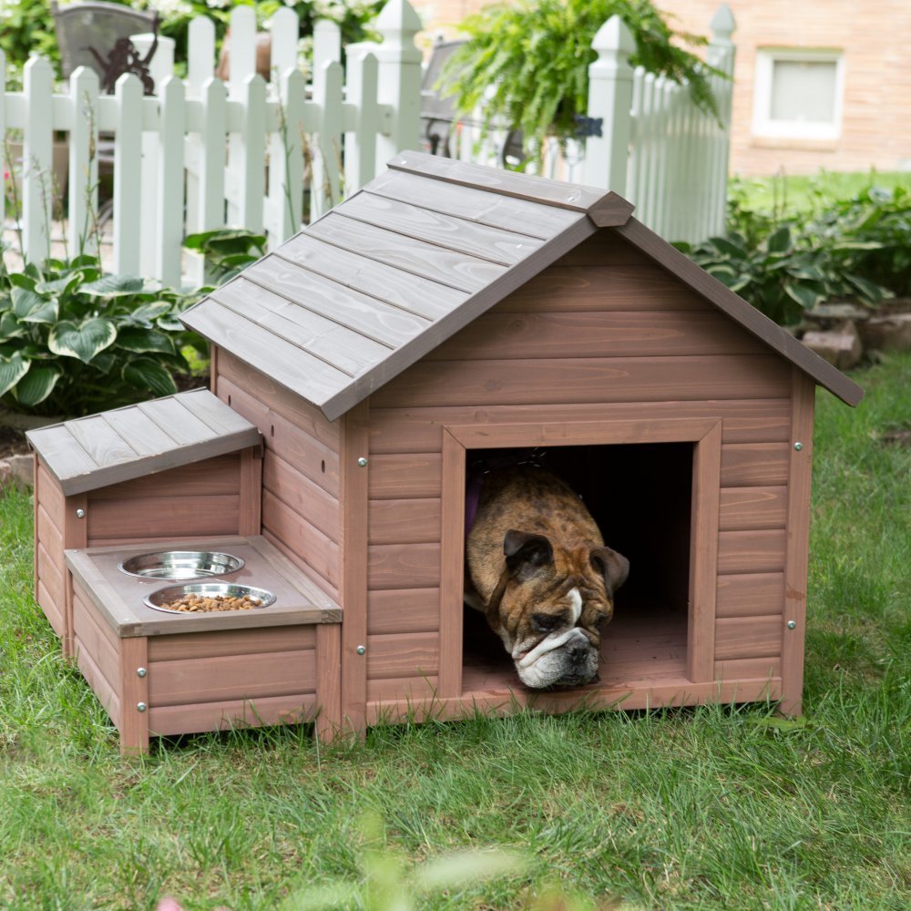 Dog House