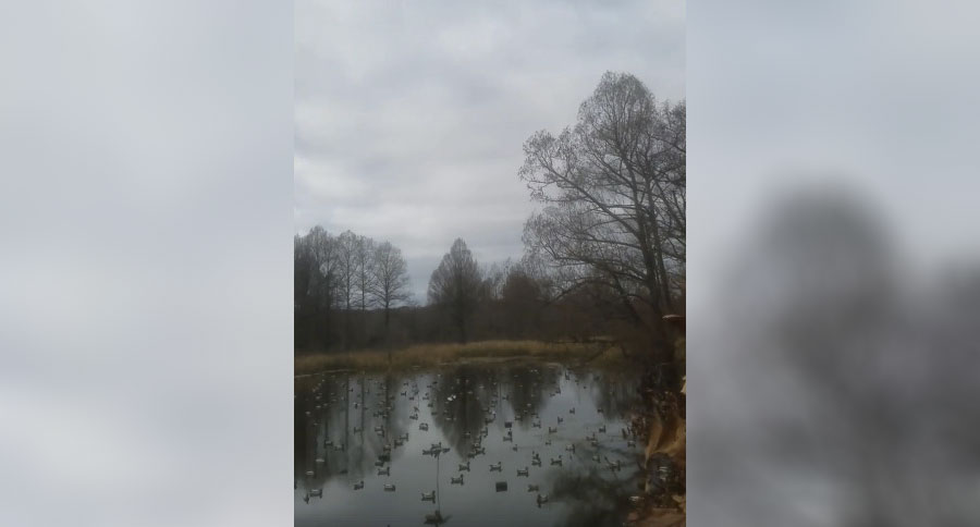 duck hunting