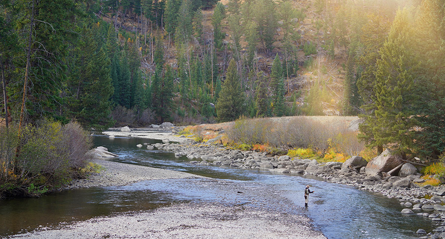 Fly Fishing Books