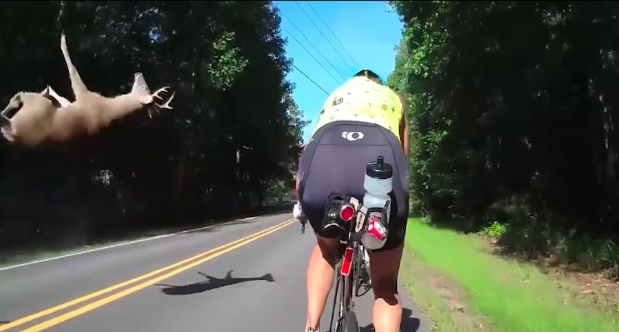 cyclists