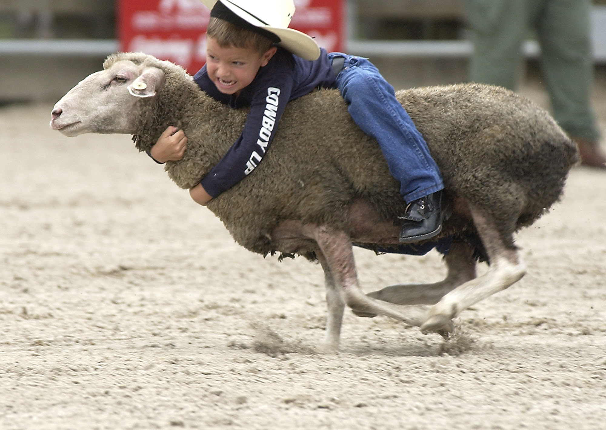 MUTTON BUSTIN