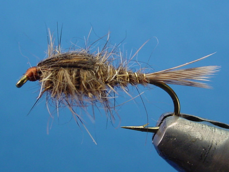 trout flies