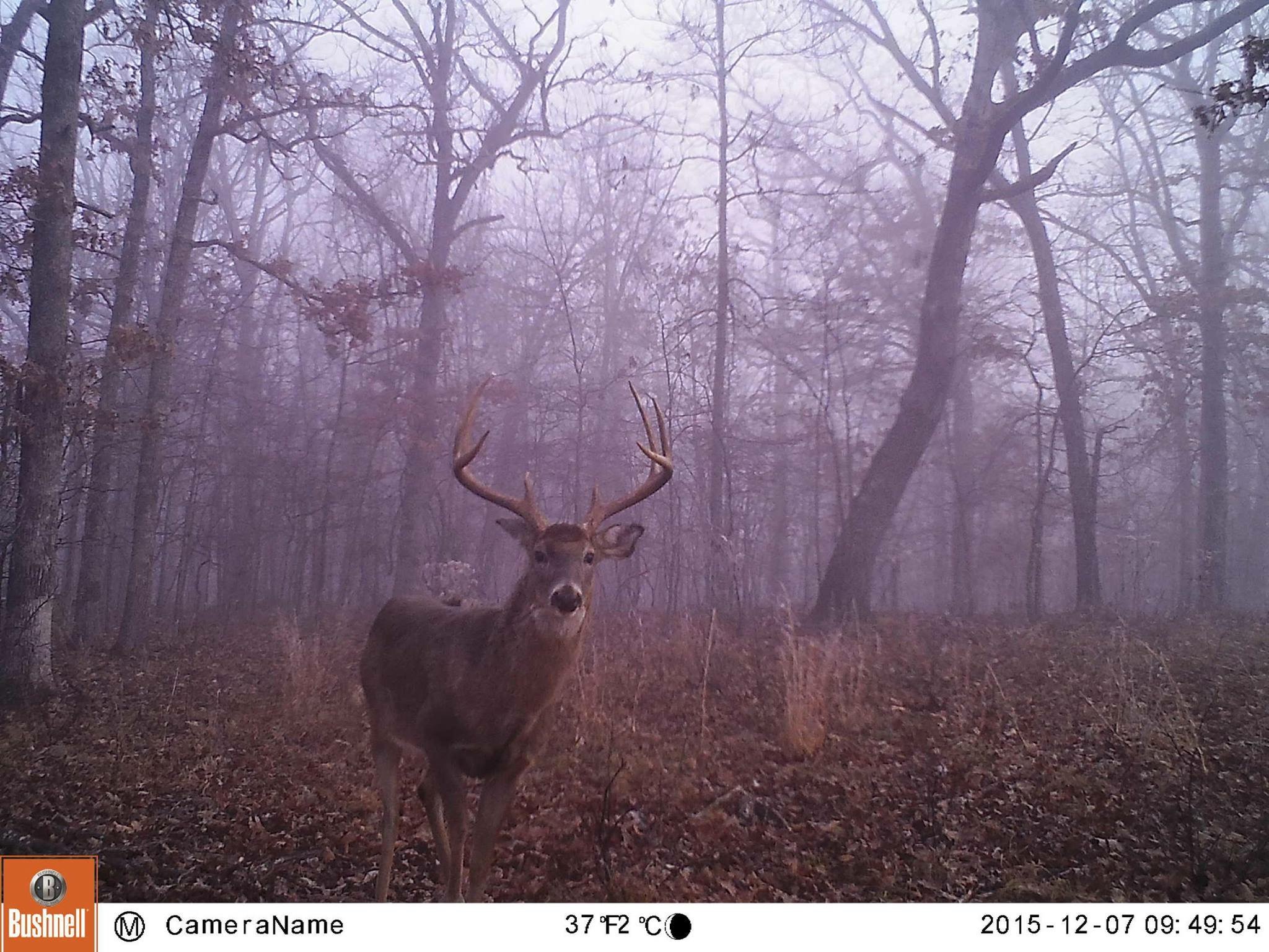 Trail Cam Tuesday