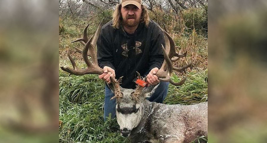 mule deer record
