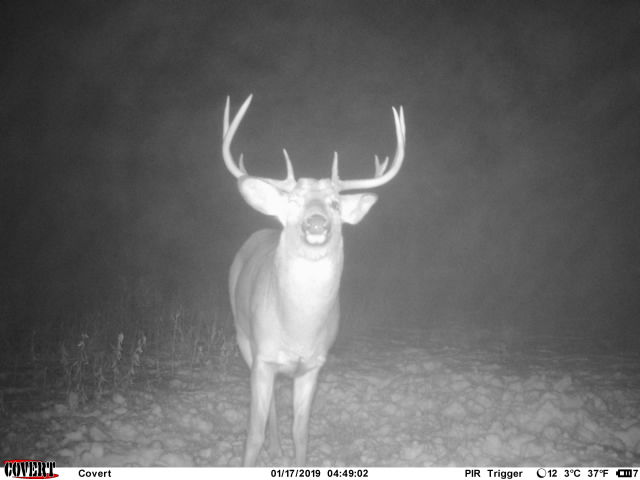 Trail Cam Tuesday