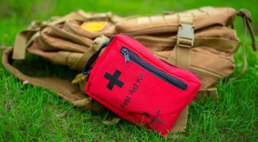 Elk Field Dressing Gear: Everything Needed After the Shot